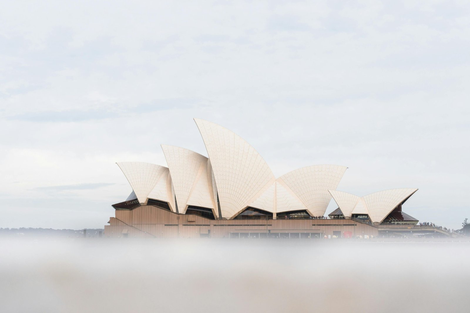 Sydney Opera House emerging through light mist, symbolizing reputation clarity and the removal of negative search results for Sydney professionals.