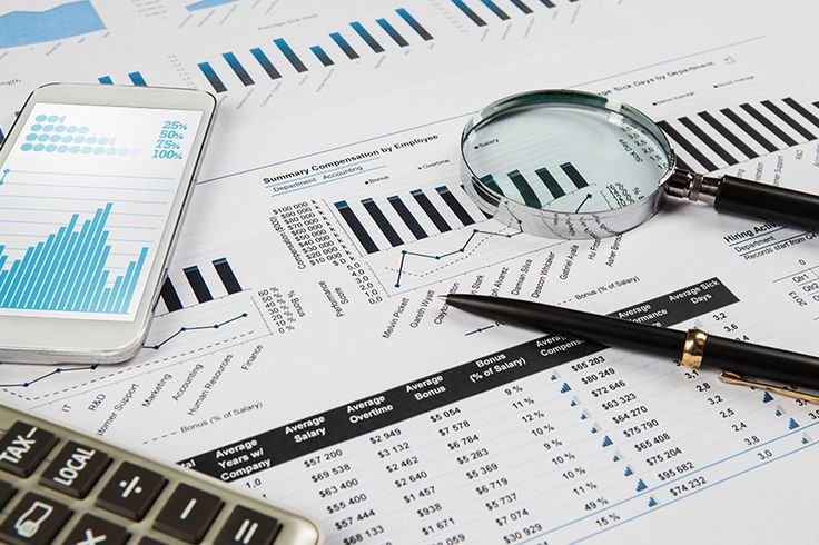 Financial advisor reviewing account records with a client