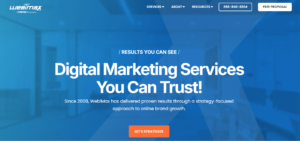 WebiMax digital marketing and reputation management website